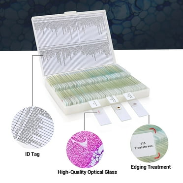 BEBANG 120Pcs Prepared Microscope Slides for Kids, Glass Microscope Slides with Specimens of Insect Plant Animal Bacteria Human Tissue Cell