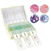 BEBANG 30 Microscope Slides with Specimens for Kids, Prepared Microscope Slides for Kids Microbiology, Glass Slides for Microscope, Biology Gifts for Adults Kids