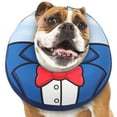 thumbnail image 1 of BEBANG Dog Recovery Cone, Comfy Inflatable Dog Collars for After Surgery, Dual-Sided Pattern Donut Collar for Dogs Cats, Not Block Vision(L), 1 of 8