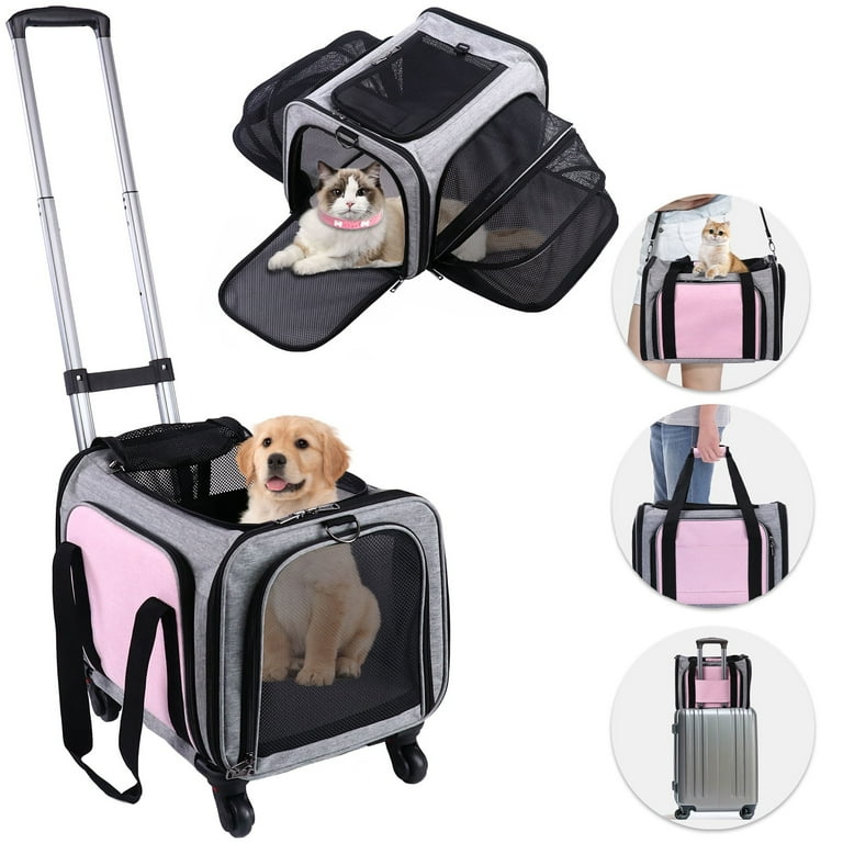 Free Shipping! BEBANG Pet Carrier with Wheels, Foldable Airline