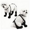 thumbnail image 1 of BECROWM Waterproof Dog Boots for Small/Medium Dogs -Dog Paw Protectors Dog Suspender Boots Anti-Slip Pet Shoes for Outdoor Walking, Reflective Stay-On,Dirt-Proof Comfortable Booties  (Black-Large), 1 of 10