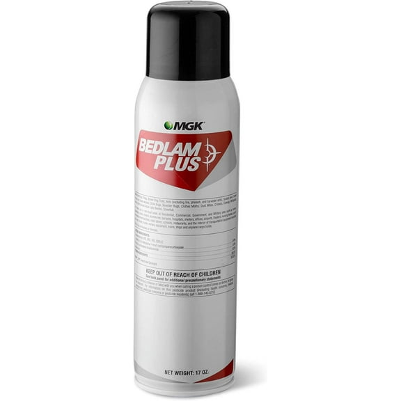 BEDLAM Plus 17 oz, Clear