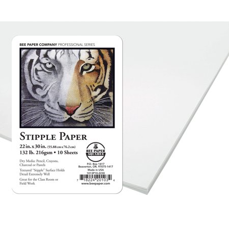 Royal & Langnickel - Bee Paper Company Stipple Texture Paper