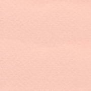 Bee Paper Company Pastel Paper Series - Pale Peach
