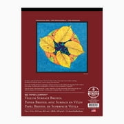 Royal & Langnickel - Bee Paper Company Vellum Surface Bristol Paper Series