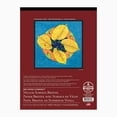 thumbnail image 1 of Royal & Langnickel - Bee Paper Company  Vellum Surface Bristol Paper Series, 1 of 2