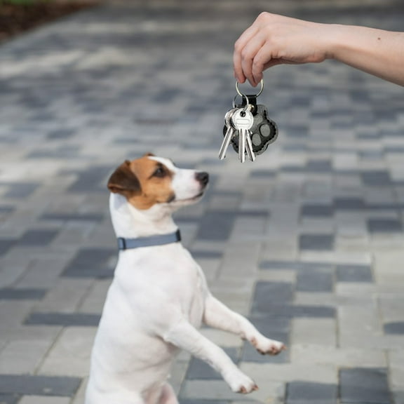 BEGHT 1PCS Dog FurHair Storage Keychain,Cute ArtificialLeather PawKeychain Pet Hair Keepsake Keyring,Handmade Key Holder for Collecting Cat and Dog Hair,Cat PawShaped Keychain