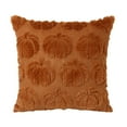 thumbnail image 1 of BEGHT Fall Pillow Covers 18x18 Set of 1 Fall Decorations Halloween Pumpkin Throw Pillow Cases Soft Plush Couch Cushion Case for Porch Sofa Bed Living Room Halloween Farmhouse Home Decor, 1 of 6