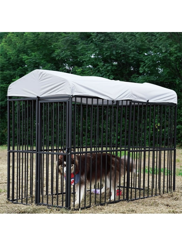 Outdoor Dog Kennels in Dog Kennels