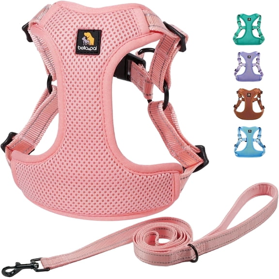 BELLA & PAL Dog Harness for Small Dogs, Adjustable Reflective No Pull Step-in Dog Vest, Breathable Soft Mesh Harness and Leash Set for Small Medium Dogs, Coral Pink, XS
