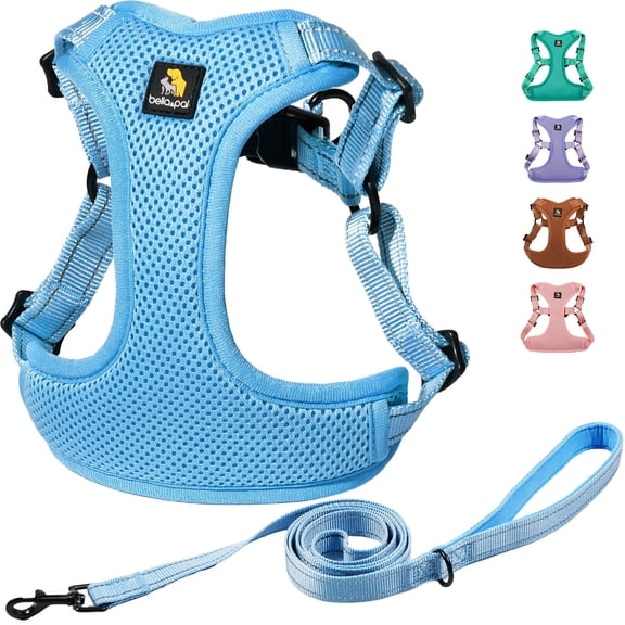 BELLA & PAL Adjustable Step-in Dog Harness and Leash Set, Puppy No-Pull Vest with Leash Set for XS/Small & Medium Dog, Breathable All-Weather Mesh, L