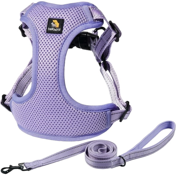 BELLA & PAL Adjustable Step-in Dog Harness and Leash Set, Puppy No-Pull Vest with Leash Set for XS/Small & Medium Dog, Breathable All-Weather Mesh, XS
