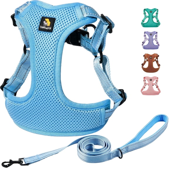 BELLA & PAL Dog Harness for Medium Dogs, Adjustable Reflective No Pull Step-in Dog Vest, Breathable Soft Mesh Harness and Leash Set for Small Medium Dogs, Sky Blue, L