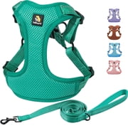 BELLA & PAL Dog Harness for Small Dogs, Adjustable Reflective No Pull Step-in Dog Vest, Breathable Soft Mesh Harness and Leash Set for Small Medium Dogs, Emerald, XS