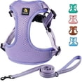 thumbnail image 1 of BELLA & PAL Dog Harness for Medium Dogs, Adjustable Reflective No Pull Step-in Dog Vest, Breathable Soft Mesh Harness and Leash Set for Small Medium Dogs, Lavender, XS, 1 of 8