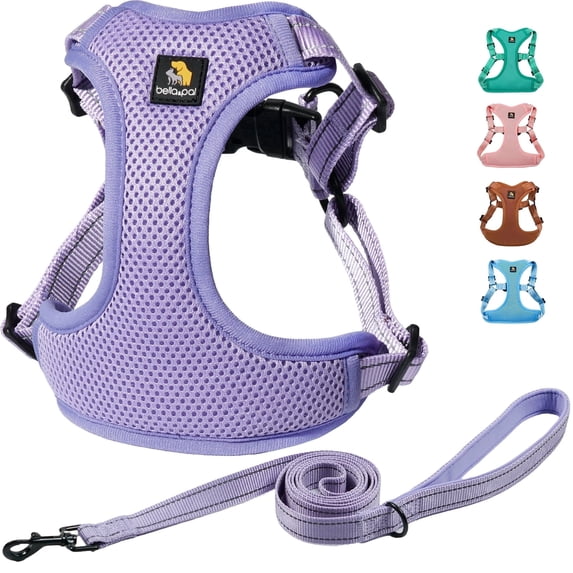 BELLA & PAL Dog Harness for Medium Dogs, Adjustable Reflective No Pull Step-in Dog Vest, Breathable Soft Mesh Harness and Leash Set for Small Medium Dogs, Lavender, XS