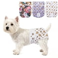 thumbnail image 1 of Bella & Pal × PJai & Friends Female Dog Diapers, 3-Pack, Highly Absorbent Washable Diapers for Small Dogs, Leak-Proof Puppy Diapers, XS, 1 of 9