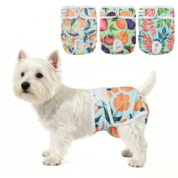 BELLA & PAL Blue Green Floral Female Dog Diapers, 3-Pack, Highly Absorbent Washable Diapers for Small Dogs, Leak-Proof Puppy Diapers, XS