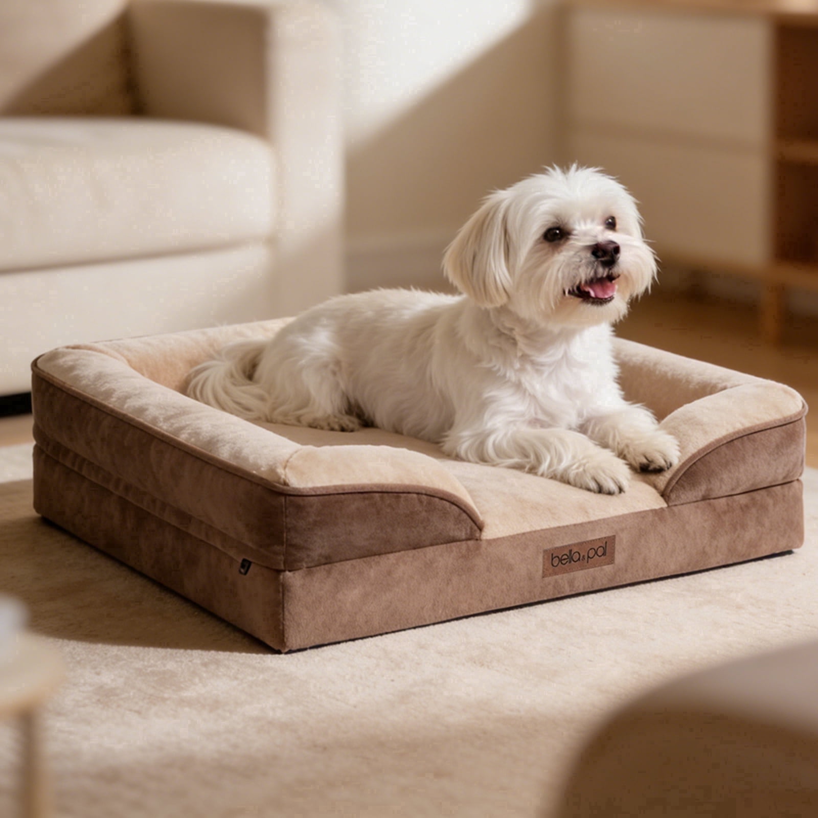 BELLA & PAL Orthopedic Dog Bed for Medium Small Dogs – No Assembly Needed, Egg-Crate Foam Dog Couch with Waterproof Liner, Washable Removable Cover, Non-Slip, 28"x23"x6.5", Mocha