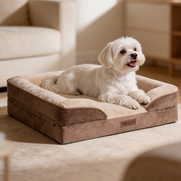 BELLA & PAL Orthopedic Dog Bed for Medium Small Dogs – No Assembly Needed, Egg-Crate Foam Dog Couch with Waterproof Liner, Washable Removable Cover, Non-Slip, 28"x23"x6.5", Mocha