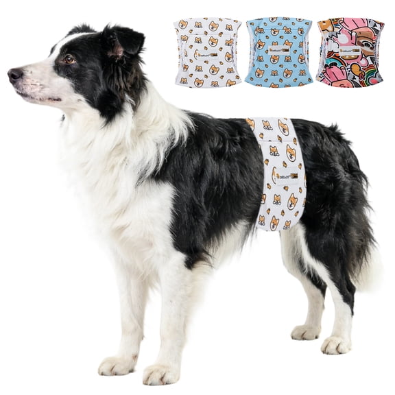 BELLA & PAL Male Dog Diapers, 3-Pack, Highly Absorbent Washable Diapers for Small Dogs, Leak-Proof Puppy Diapers, L