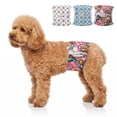 thumbnail image 1 of Bella & Pal × PJai & Friends Male Dog Diapers, 3-Pack, Highly Absorbent Washable Diapers for Small Dogs, Leak-Proof Puppy Diapers, XS, 1 of 10