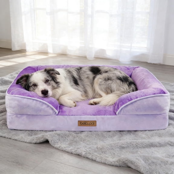BELLA & PAL Orthopedic Dog Bed for Large Medium Dogs – No Assembly Needed, Egg-Crate Foam Dog Couch with Waterproof Liner, Washable Removable Cover, Non-Slip, 36"x27"x6.5", Purple
