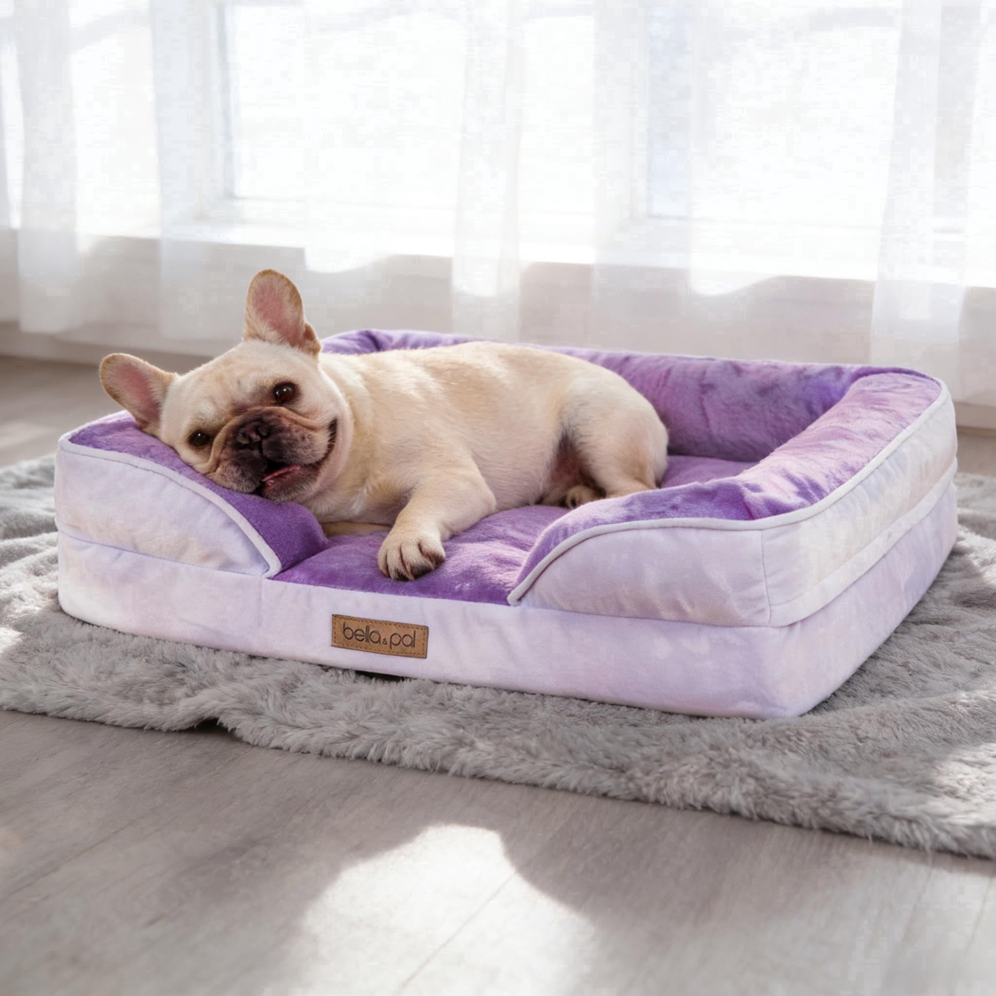 BELLA & PAL Orthopedic Dog Bed for Medium Small Dogs – No Assembly Needed, Egg-Crate Foam Dog Couch with Waterproof Liner, Washable Removable Cover, Non-Slip, 28"x23"x6.5", Purple
