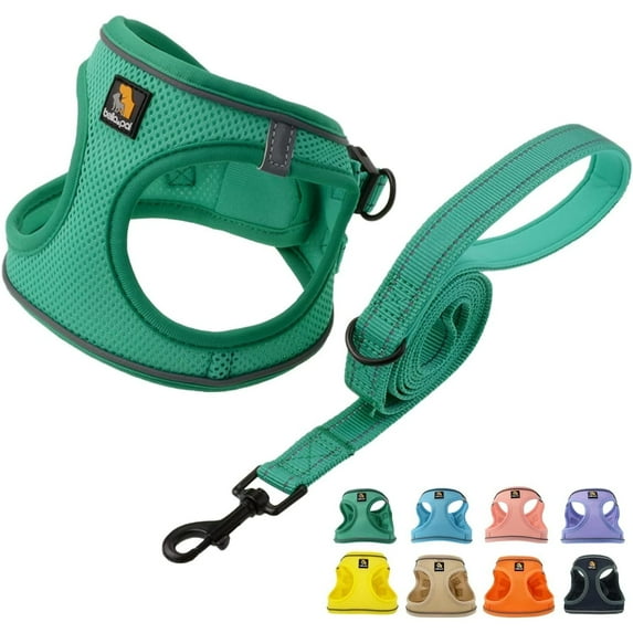 BELLA & PAL Puppy Harness and Leash Set,Reflective Adjustable Dog Harness for Small Dogs No Pull,Step in Soft Mesh Harness for Extra Small Dogs,Green Harness,XS