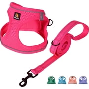 BELLA & PAL Puppy Harness and Leash Set,Reflective Adjustable Dog Harness for Small Dogs No Pull,Step in Soft Mesh Harness for Extra Small Dogs,Hot Pink,XS