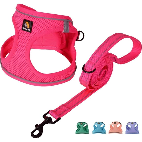 BELLA & PAL Puppy Harness and Leash Set,Reflective Adjustable Dog Harness for Small Dogs No Pull,Step in Soft Mesh Harness for Extra Small Dogs,Hot Pink,XS