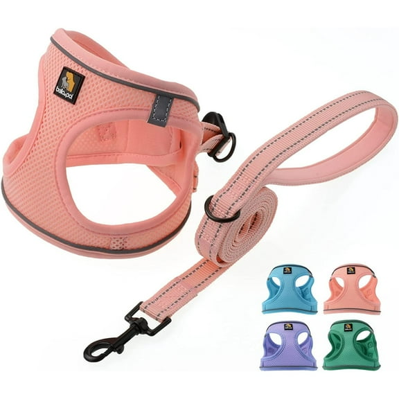 BELLA & PAL Puppy Harness and Leash Set,Reflective Adjustable Dog Harness for Small Dogs No Pull,Step in Soft Mesh Harness for Extra Small Dogs,Pink Harness,XS