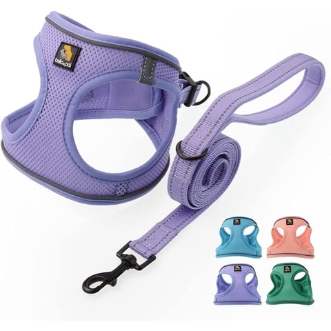 BELLA & PAL Puppy Harness and Leash Set,Reflective Adjustable Dog Harness for Small Dogs No Pull,Step in Soft Mesh Harness for Extra Small Dogs,Purple Lavender,XS