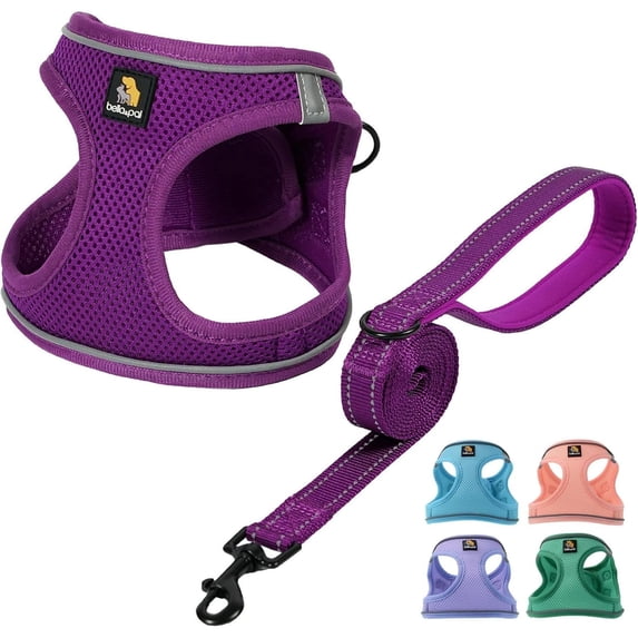 BELLA & PAL Puppy Harness and Leash Set,Reflective Adjustable Dog Harness for Small Dogs No Pull,Step in Soft Mesh Harness for Extra Small Dogs,Deep Purple Harness,XXS