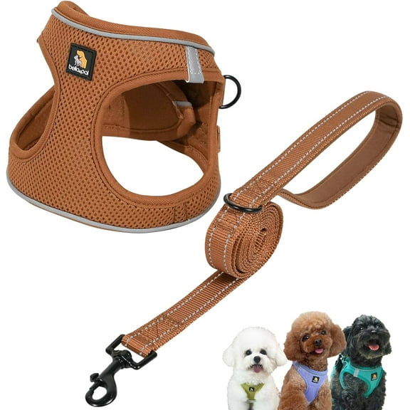 BELLA & PAL Puppy Harness and Leash Set,Step in Harness for Small Dogs,Air Mesh Dog Vest Harness with Reflective Strip,No Pull Harness for XXS, XS, Small Dog Cat (Mokka, XS)