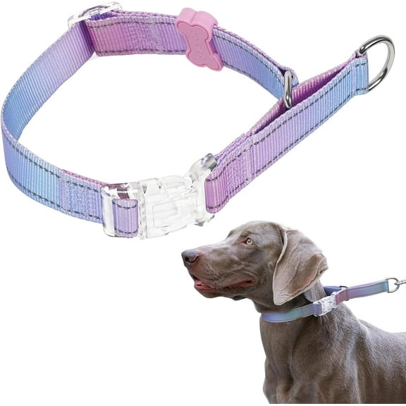BELLA & PAL Slip Martingale Collar for Dogs, Limited Slip Design, Reflective, Escape-Proof, Gentle Control, Adjustable Training Collar with Quick-Release Strong Buckle, Nylon, Large