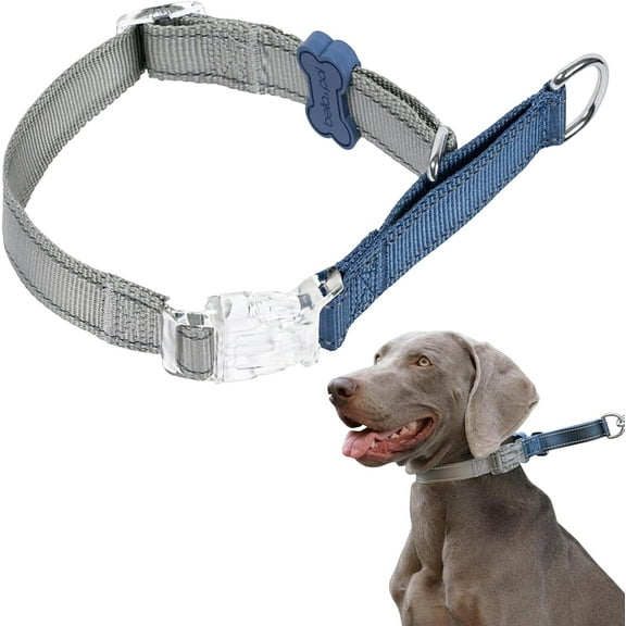 BELLA & PAL Slip Martingale Collar for Dogs, Limited Slip Design, Reflective, Escape-Proof, Gentle Control, Adjustable Training Collar with Quick-Release Strong Buckle, S