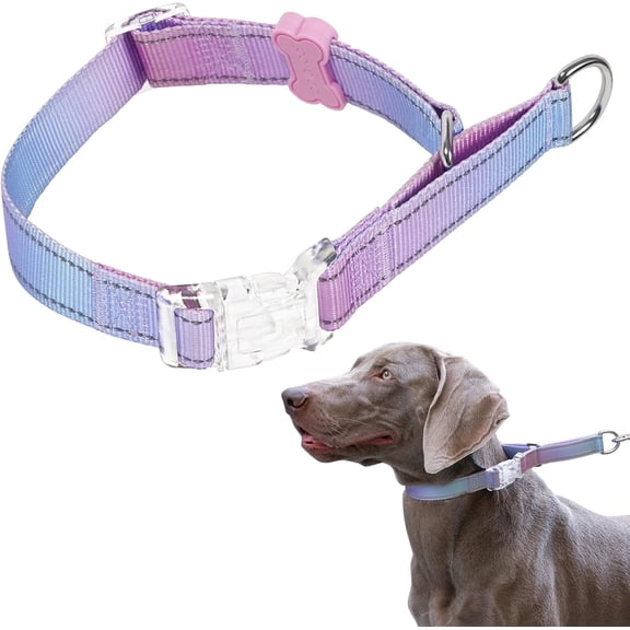 BELLA & PAL Slip Martingale Collar for Dogs, Limited Slip Design, Reflective, Escape-Proof, Gentle Control, Adjustable Training Collar with Quick-Release Strong Buckle, Nylon, Medium