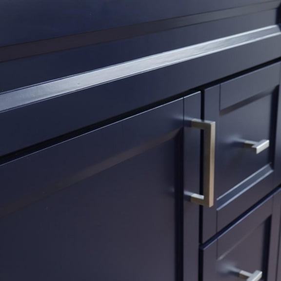 BELLATERRA HOME LLC Single sink vanity in Blue with Black galaxy granite and Left door/Left sink