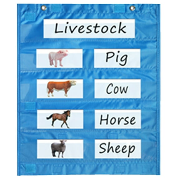 BELOWSYALER Magnetic Classroom for Whiteboard, Magnetic for Daily Schedule, Activity, Class Demonstrations