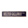 thumbnail image 1 of BELTED GALLOWAY Vintage Aluminum Street Sign belties beef cattle farm farmer rustic metal tin | Indoor/Outdoor |  24" Wide, 1 of 4