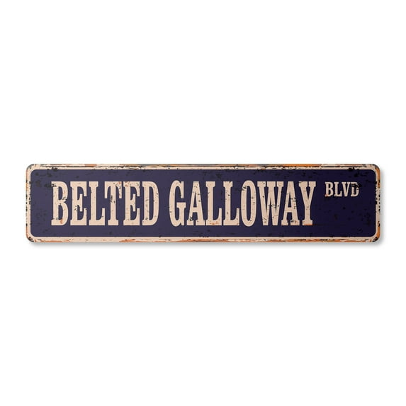 BELTED GALLOWAY Vintage Aluminum Street Sign belties beef cattle farm farmer rustic metal tin | Indoor/Outdoor |  24" Wide