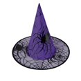 thumbnail image 1 of BELTNOV Halloween Witches Hat Spider web Witch/Wizard Hats Unisex Party Accessory Purple, 1 of 5