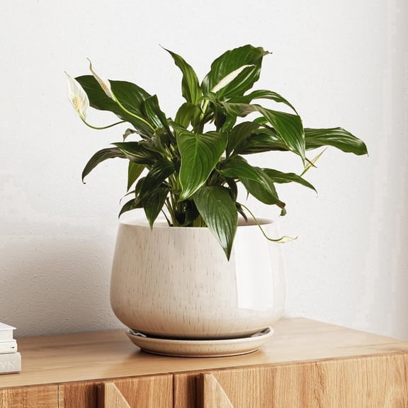 BEMAY 10 Inch Warm White Ceramic Plant Pot with Drainage Hole and Saucer, Textured Round Planter for Indoor Outdoor Plants, Flowers, Houseplants