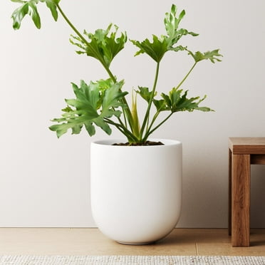 BEMAY 10" Ceramic Plant Pots, Indoor Planter with Drainage Hole & Plug, Ceramic Planter for Outdoor Decorative, White Planter