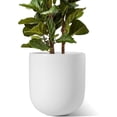 thumbnail image 1 of BEMAY 12" Ceramic Plant Pot, Large Flower Pot with Drain Holes& Plug Indoor Planter, White Outdoor Planter, 1 of 10