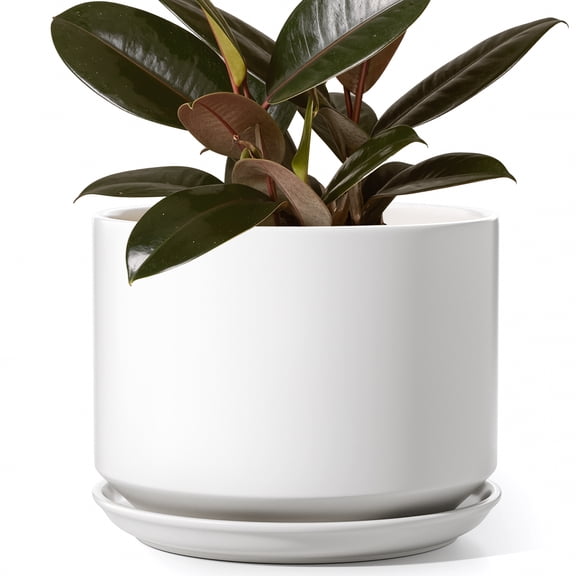 BEMAY 6.8" Plant Pot for Indoor Plants, Ceramic Planter Pot with Drainage Hole and Attached Saucer, White Flower Pot for Succulents, Herbs and Houseplants, Plant Not Included