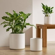 BEMAY Ceramic Plant Pots, 10+8+6 inch Indoor Planters with Drainage Hole and Plug for Home Office Planters, Pack of 3 Modern Flower Pots, White