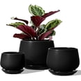 thumbnail image 1 of BEMAY Set of 3 Ceramic Plant Pots with Drainage Holes and Saucers, Indoor & Outdoor Decorative Planters, Modern Greenery, 1 of 8