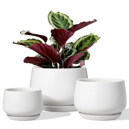 BEMAY Set of 3 Ceramic Plant Pots, 4.1" 5.1" 6.5" Indoor Planters with Drainage Hole and Saucer, White Round Flower Pots (Plants Not Included)